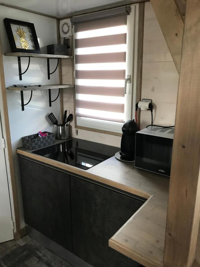 Les Nuits Insolites De La Mothe - Hebergement En Bulle Ou Tiny House Avec Spa Privatif Outremecourt Exteriör bild